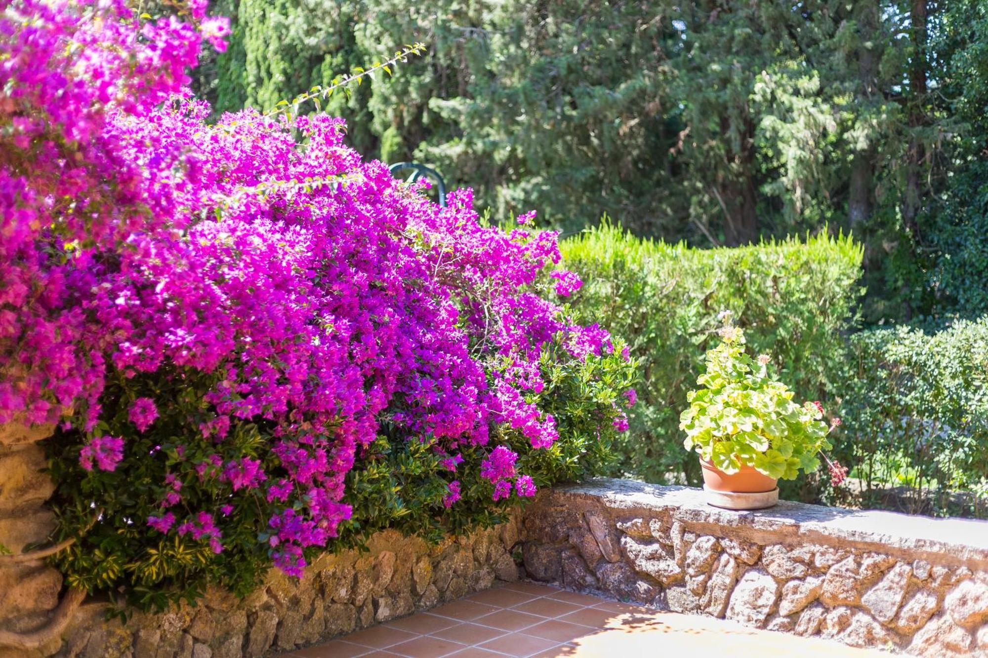 Fangar Agroturismo Campanet Dış mekan fotoğraf