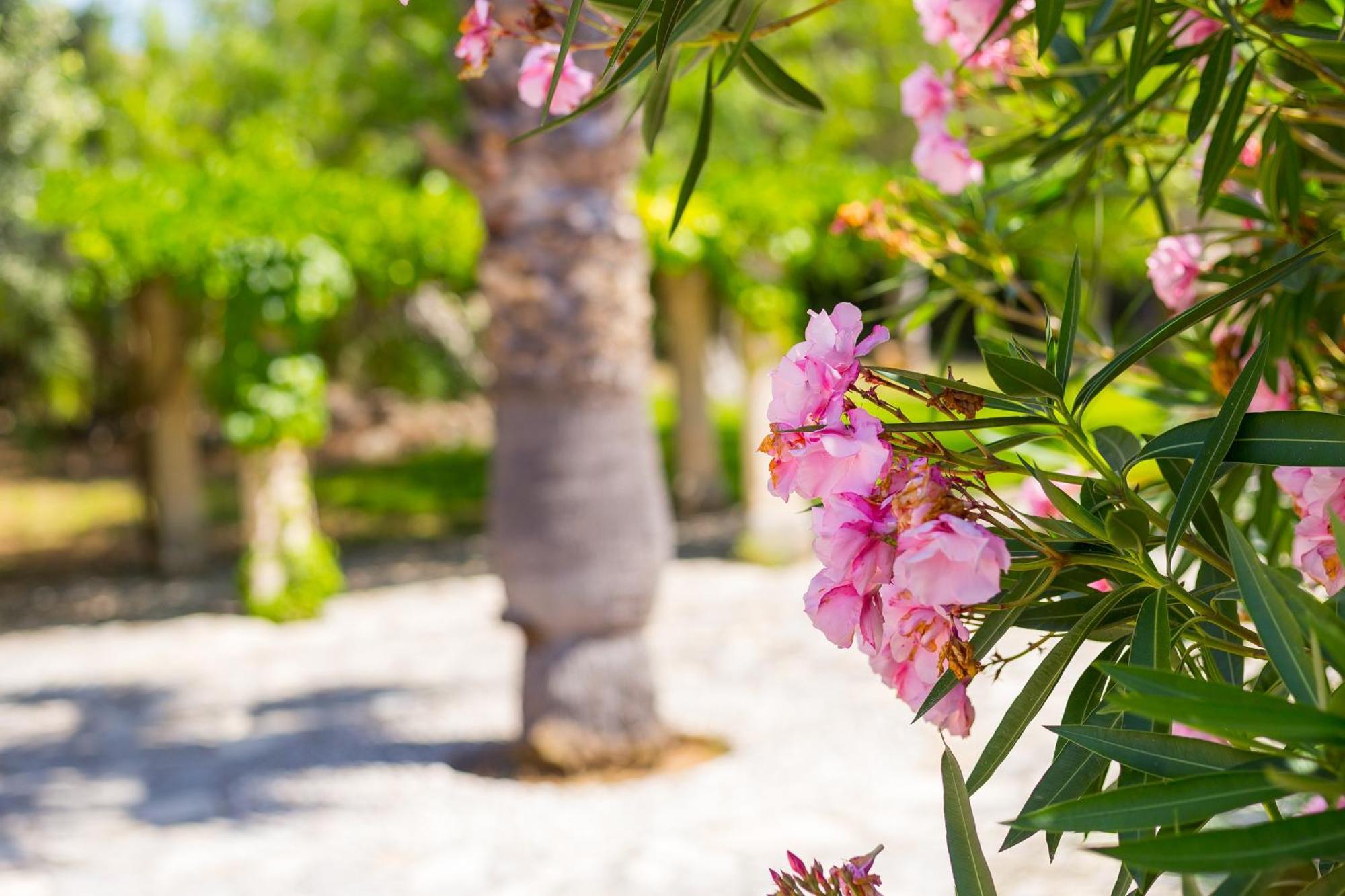 Fangar Agroturismo Campanet Dış mekan fotoğraf