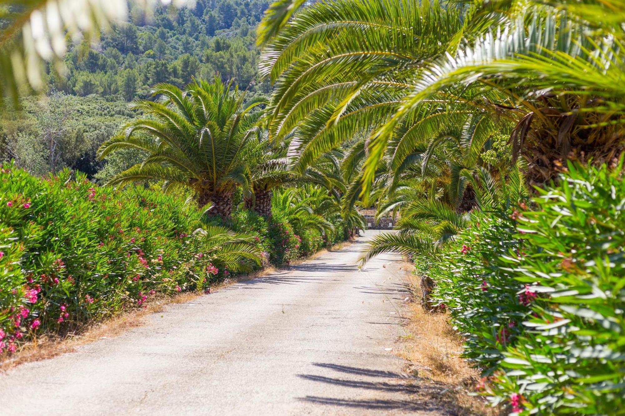Fangar Agroturismo Campanet Dış mekan fotoğraf
